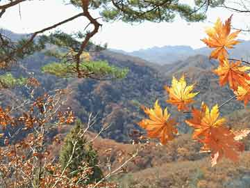 河谷村的爱情迷雾